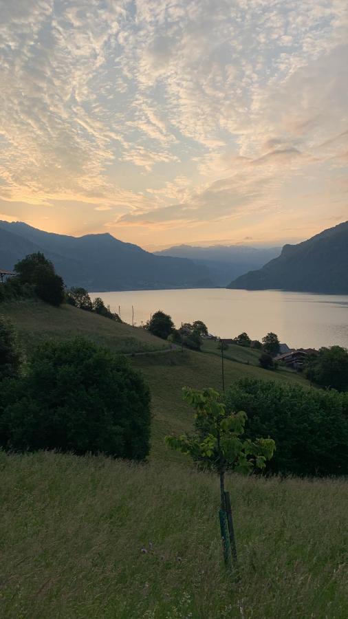 Hotel Roessli Oberried am Brienzersee Экстерьер фото